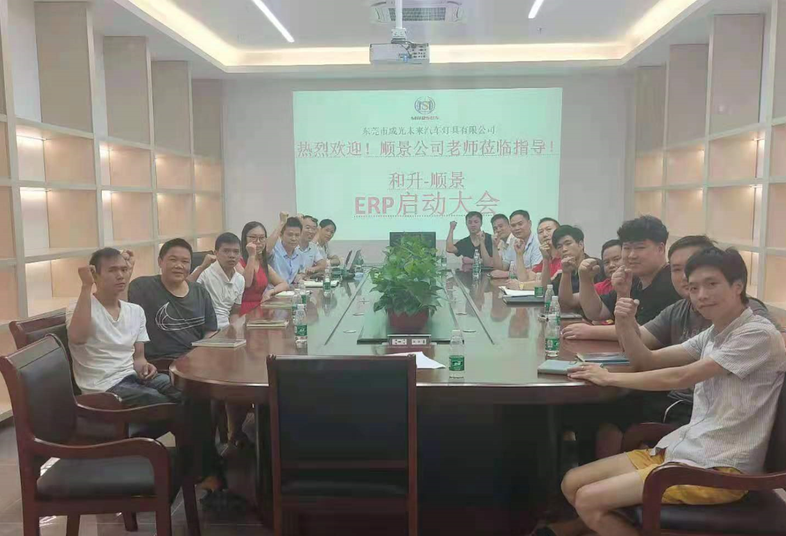 承前启后，智造先行!和升汽车照明公司携手线上买球官网（中国）官方网站软件打造数智管理